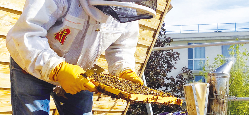 Installation de ruches dans les Établissements d'Adef Résidences