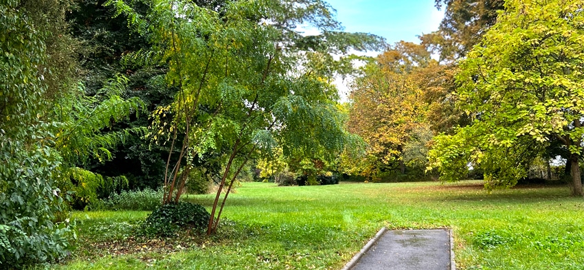 Le jardin de l'Ehpad la Maison Marie Pocard, maison de retraite médicalisée à Maranville.